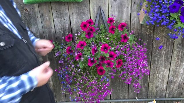 Кашпо ценой в один гвоздь. Часть 2. смотреть онлайн