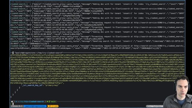 Cloaked Search Getting Started Walkthrough | How to Searched Over Encrypted Data смотреть онлайн