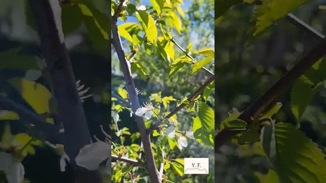 А как вы отдыхаете от работы? #отдых #дача #рутина смотреть онлайн