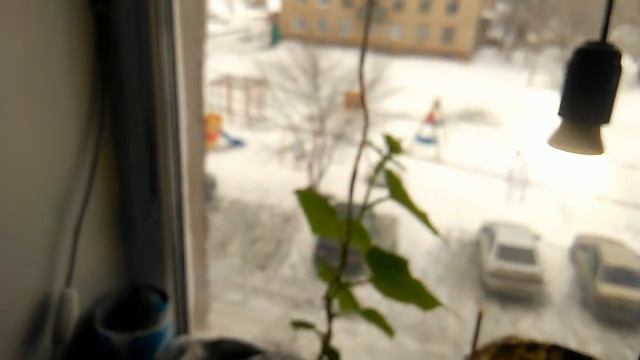 Строительные Сюрпризы