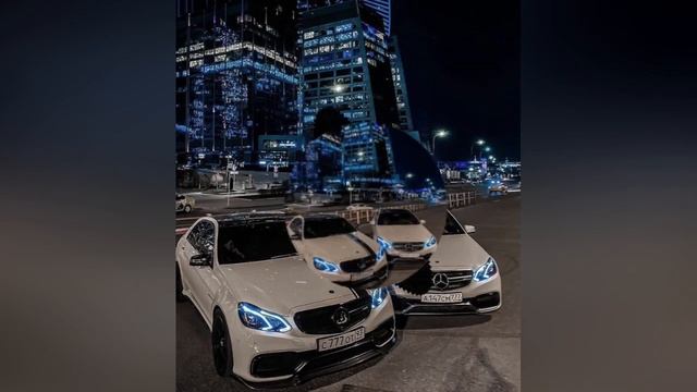 Shiza - Animal Planet смотреть онлайн