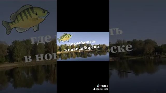 Где можно рыбачить в новосибирске смотреть онлайн