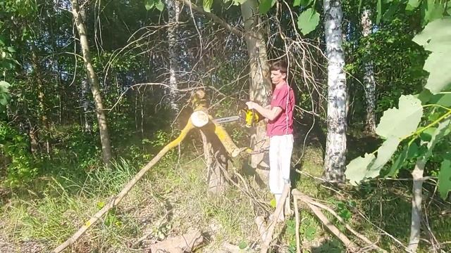 Переехали в деревню #13 Сбор валежника. Тест бензопилы champion 254 смотреть онлайн