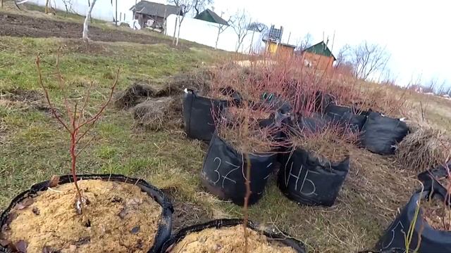 Проект "Голубика". Первая зимовка смотреть онлайн