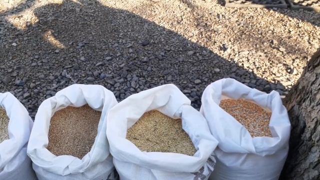 Зернодробилка Фермер, (краткий обзор и мой опыт её эксплуатации). смотреть онлайн