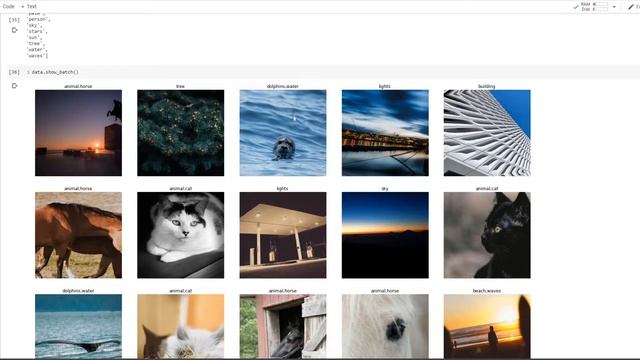 Train a Machine Learning Classifier w Fastai & Deploy to Heroku смотреть онлайн