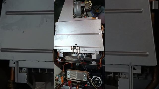 Котел Protherm pantera 30 ktv навсегда избавляемся от проблемы с циркуляционным насосом. смотреть онлайн