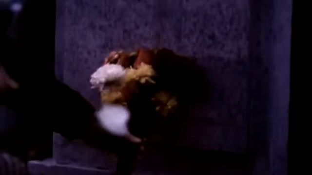 Preveiw - The Crow смотреть онлайн