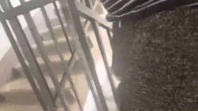 Лестница. Люблю мой канал и подписчиков??? Зарядка ? смотреть онлайн