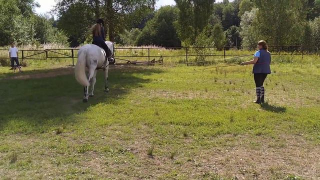 Верховая езда 5 смена 2018 года \ 4 / Детский лагерь "Дорога добра" смотреть онлайн