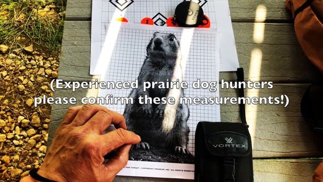 Prairie Dog Hunt Rifle Preparation (.17 HMR, .223 Wylde, 6.5 Grendel) смотреть онлайн