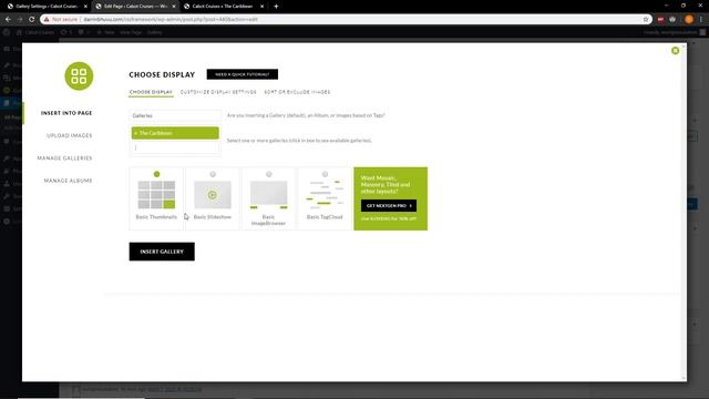 DGM3740 - NextGen Gallery Plugin Overview смотреть онлайн