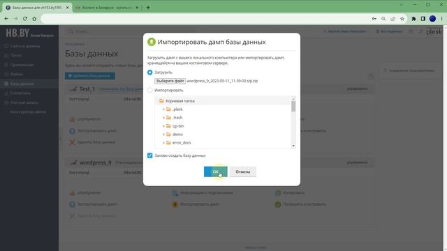 Как восстановить бэкап баз данных MySQL и MSSQL в панели управления хостингом Plesk | HB.BY