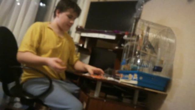 Попугай смотреть онлайн