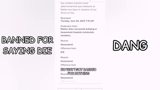 STUPID ROBLOX BANS THAT WILL MAKE YOU MAD смотреть онлайн