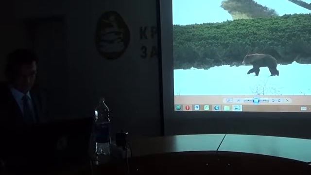 Научно-популярная лекция о "царе камчатской природы" - буром медведе. смотреть онлайн