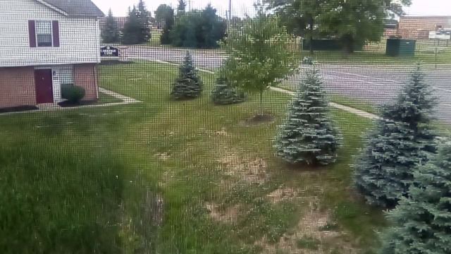 Моё мнение. Погромы в США или когда будет начало конца смотреть онлайн