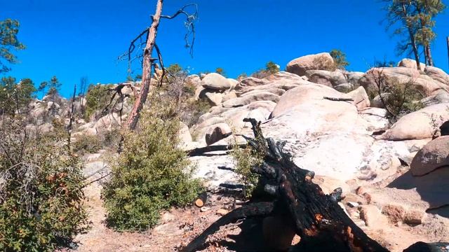 AZT 2023: Vom Saguaro National Park über Mount Mica bis Oracle - Tag 10 - 12 смотреть онлайн