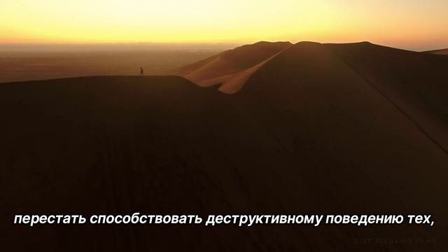 "Выбор". 13 августа. Сегодня-лучший путь. Ежедневник для созависимых смотреть онлайн