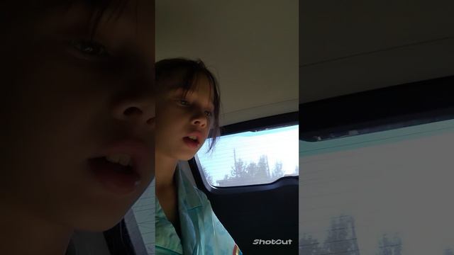 сделала дом в ➡машине смотреть онлайн