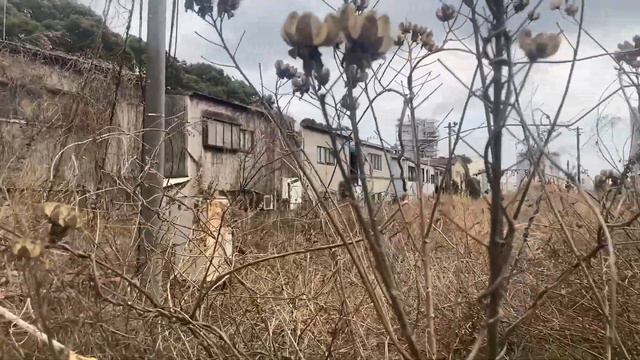 06.03.2023 года.Заброшенный ж/д переезд на острове Огимачи.