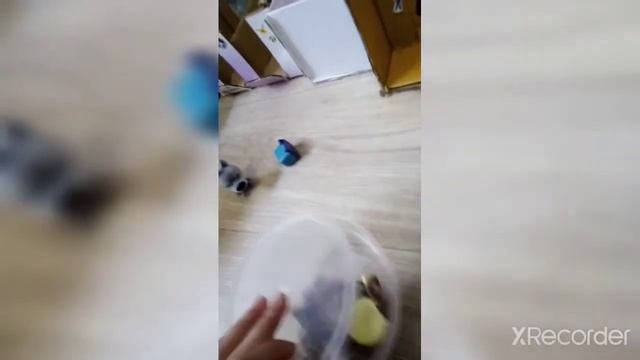 Обзор моего кск "Викинг" ?✨ смотреть онлайн