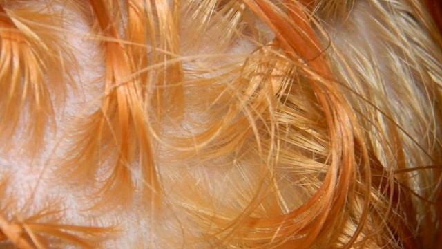 Как убрать желтизну с волос смотреть онлайн