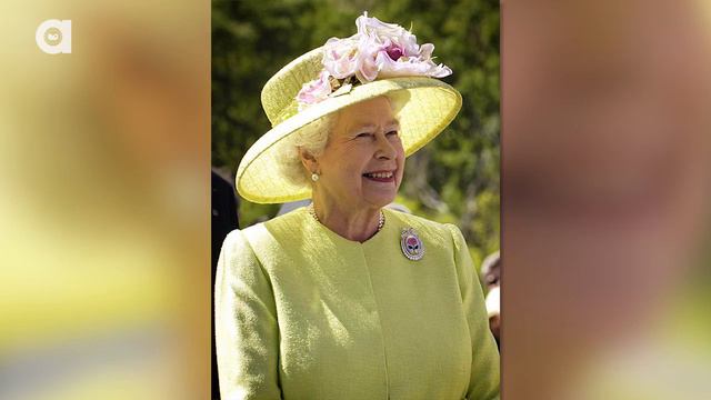 Swans Remember Their Enemies смотреть онлайн