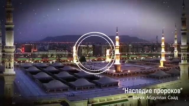 Положение футбольных болельщиков | Шейх АбдуЛлах ас-Саад