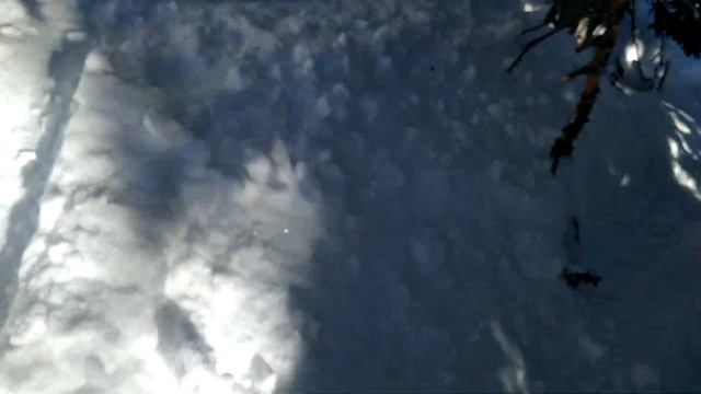 Эндуро на сноуборде. В поисках пухляка под ёлкой Шерегеша смотреть онлайн