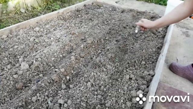 ЭКСПЕРИМЕНТ с посадкой МОРКОВИ смотреть онлайн