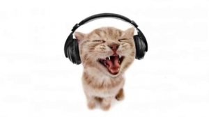 Ленинград—экспонат(speed up)