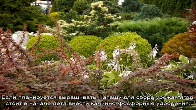 Ремонтные Консультации