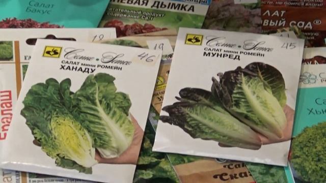 Выращиваем дома Листовой салат Обзор сортов. смотреть онлайн