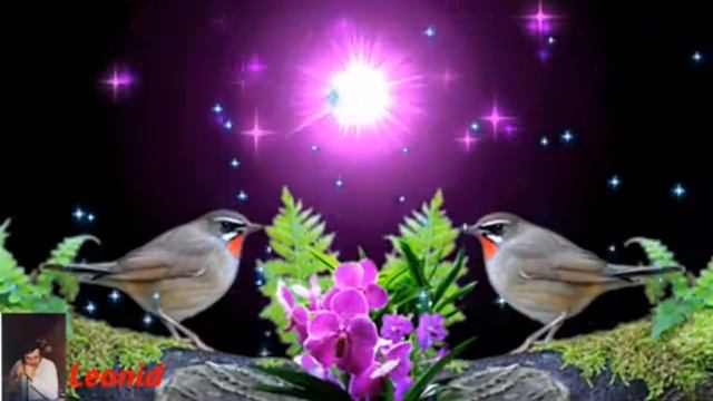 Улыбнись Николай Замковец смотреть онлайн