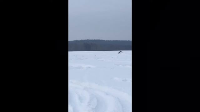 Катаюсь на своём квадре смотреть онлайн