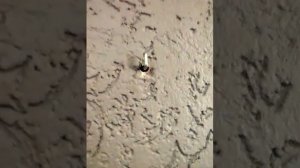 Что сделать из старого системного блока компьютера? Полка!