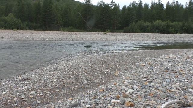 Улья золотая 1-я часть (кор) смотреть онлайн