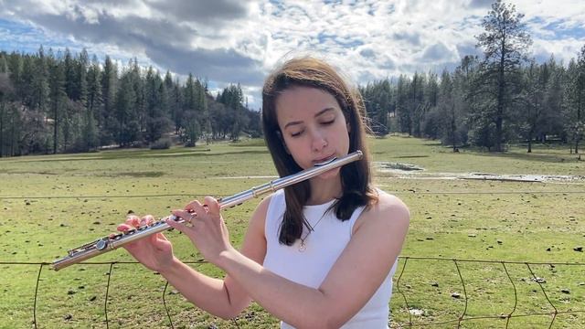 GAME OF THRONES - Flute Cover - Diana Desai Flute смотреть онлайн