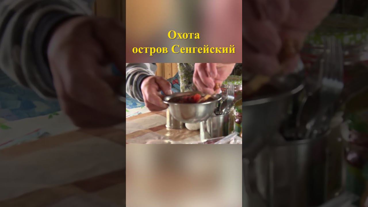 Охота на острове Сенгейский 13 #охотавроссии #охотанагуся смотреть онлайн