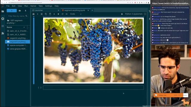 Segment Anything Model (SAM) - Open Sourced!