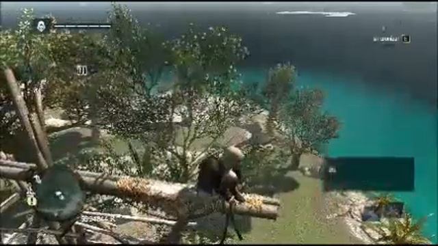 Assassins Creed IV Black Flag Panoramas смотреть онлайн