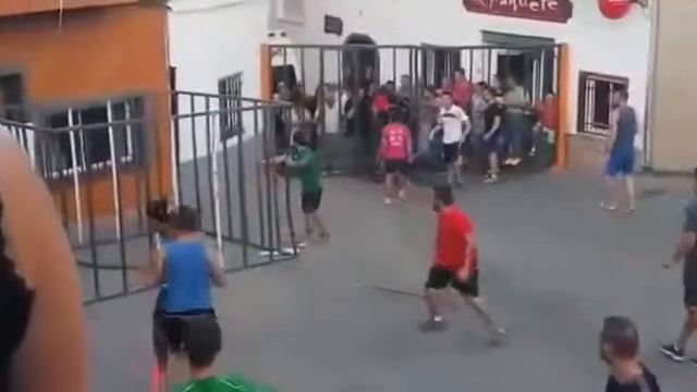 Жёсткая и неожиданная атака быка на деревенском празднике в Sot de Ferrer Валенсия Испания смотреть онлайн