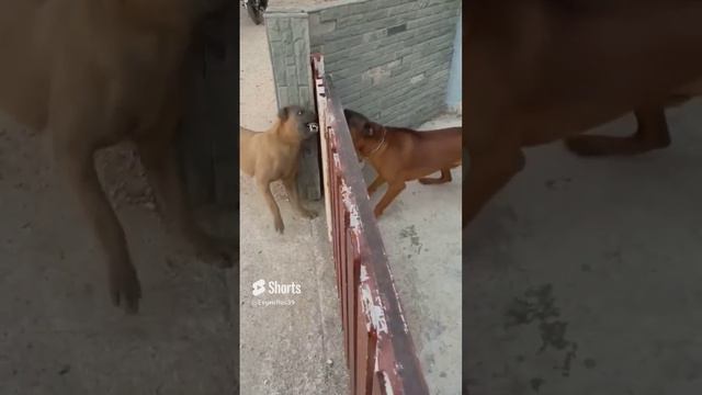 споры в интернете