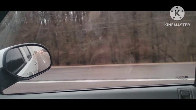 pearl river Reservoir is almost touch bridge deck with high current #flooding #weather #tictok смотреть онлайн