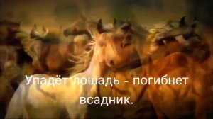 лошади скачут под красивую музыку