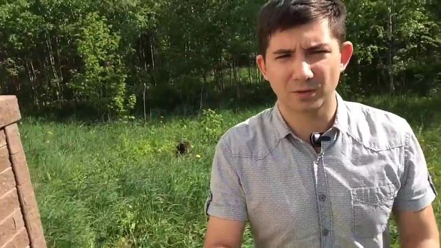 Отзыв по отделке цоколя дома из СИП (SIP) панелей построенного компанией ДомаИзСип смотреть онлайн