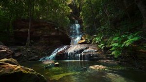 Релакс Видео