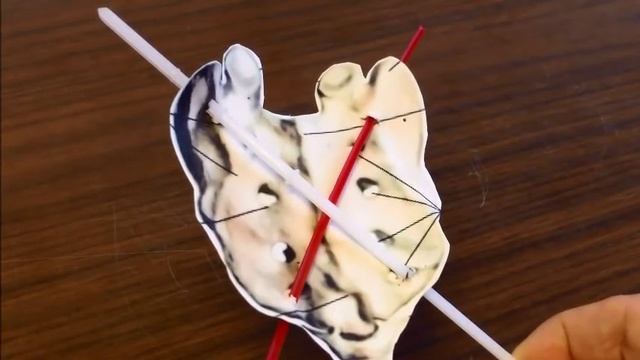 sacral torsions 101 смотреть онлайн