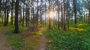 Красная книга Удмуртской Республики